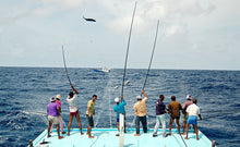 Load image into Gallery viewer, Fishing Hook Secure Keeper Holder Lure